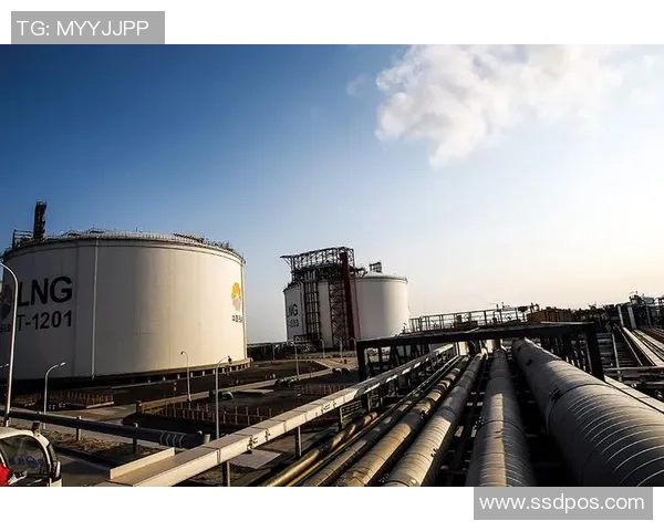 全球挑战赛特别报道LNG产业的创新与发展之路探秘