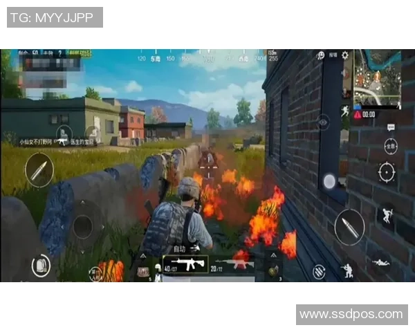 和平精英热议LNG战队节奏争议引发玩家热烈讨论与反思