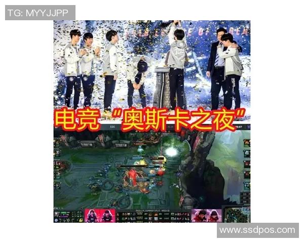 FPX战队蜕变之路揭秘：从巅峰到重生的奋斗历程与未来展望